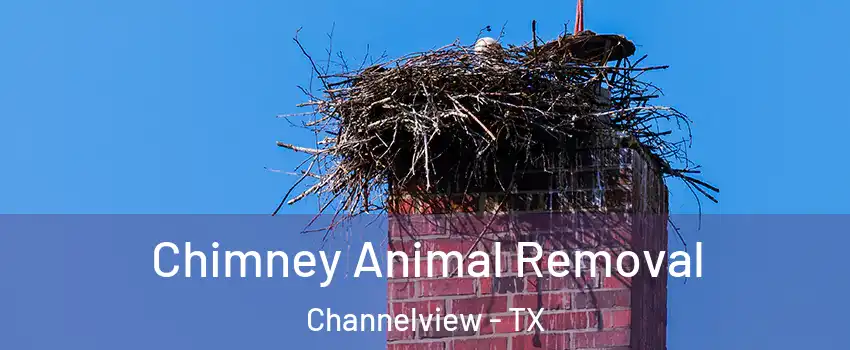 Chimney Animal Removal Channelview - TX