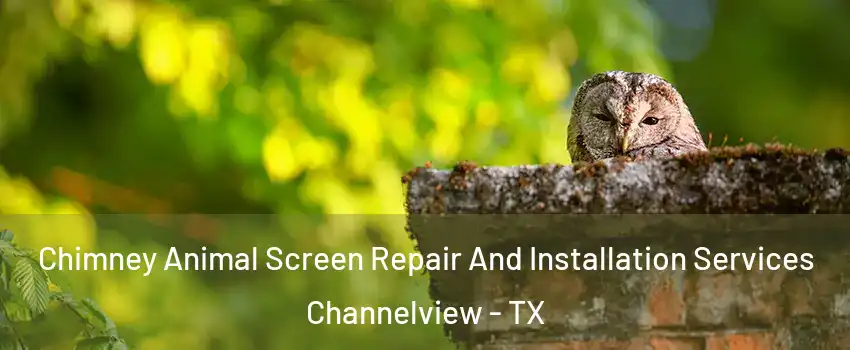  Chimney Animal Screen Repair And Installation Services Channelview - TX