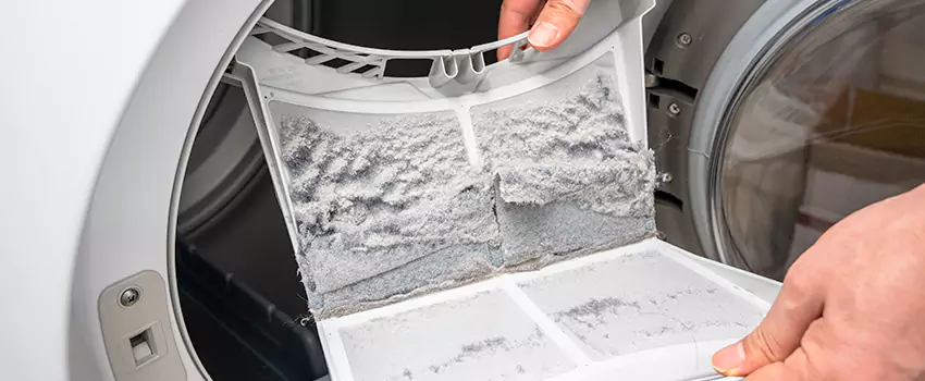 Best Dryer Lint Removal Company in Channelview, Texas