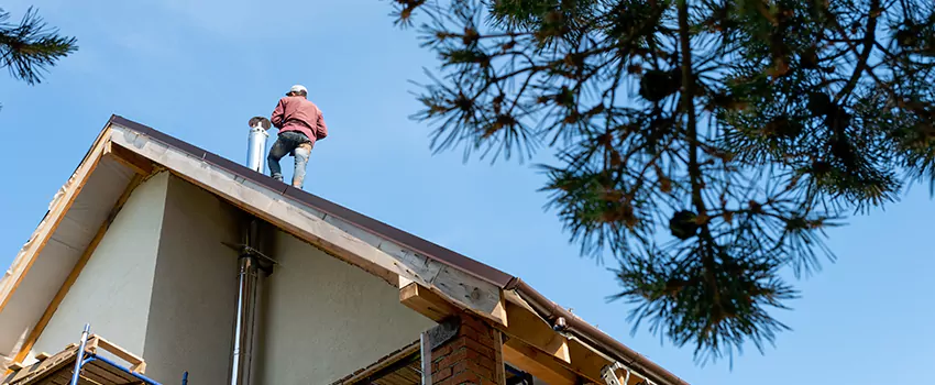 Birds Removal Contractors from Chimney in Channelview, TX