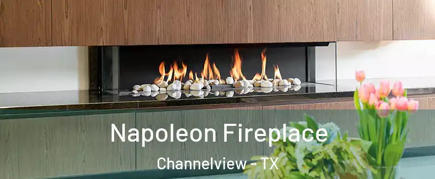  Napoleon Fireplace Channelview - TX